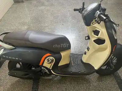 Honda Scoopy 2021, кремово-зеленый, госномер DN