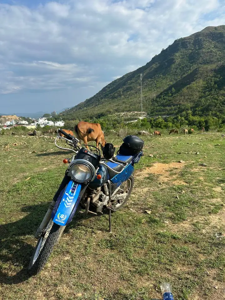 Suzuki Djebel 250