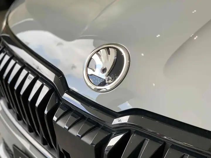 Skoda Karoq Sportline 2025, серый