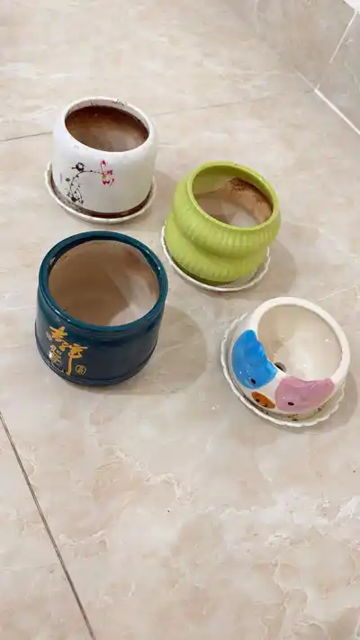 Горшки для цветов