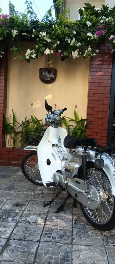 Honda Cup 81-86 50cc серого цвета