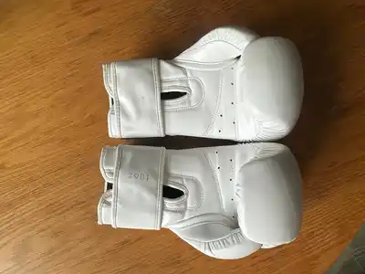 Боксерские перчатки GINGPAI 10oz