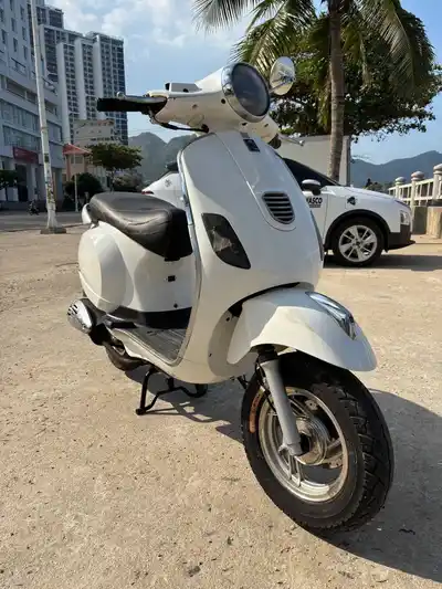 Dibao Pansyx 2020