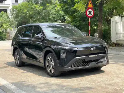 VinFast Limo Green 2025 с безлимитной зарядкой