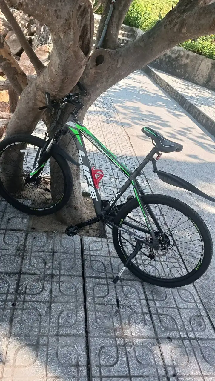 Горный велосипед Life XTR 370