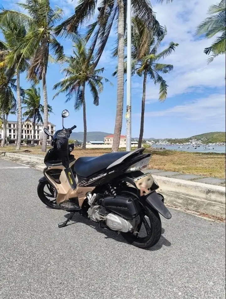 Suzuki Hayate 125