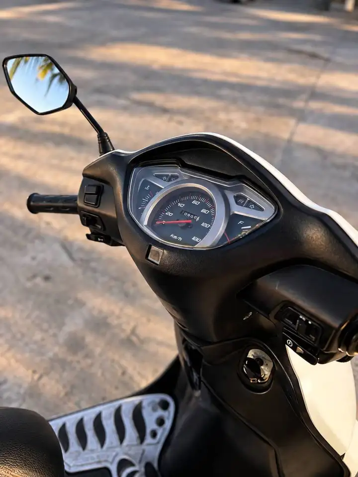 Honda LEAD 2010