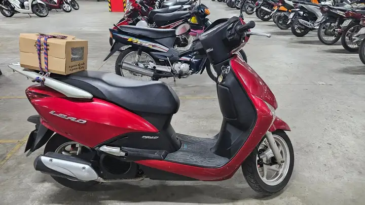 Honda Lead 110