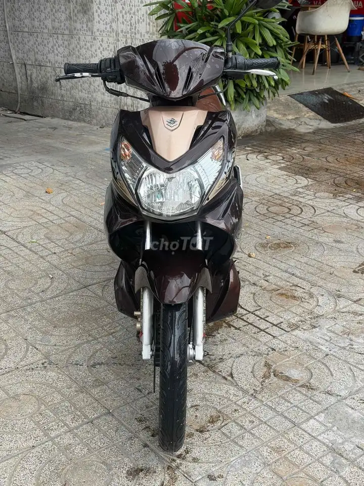 Suzuki Hayate 2010 Коричневый