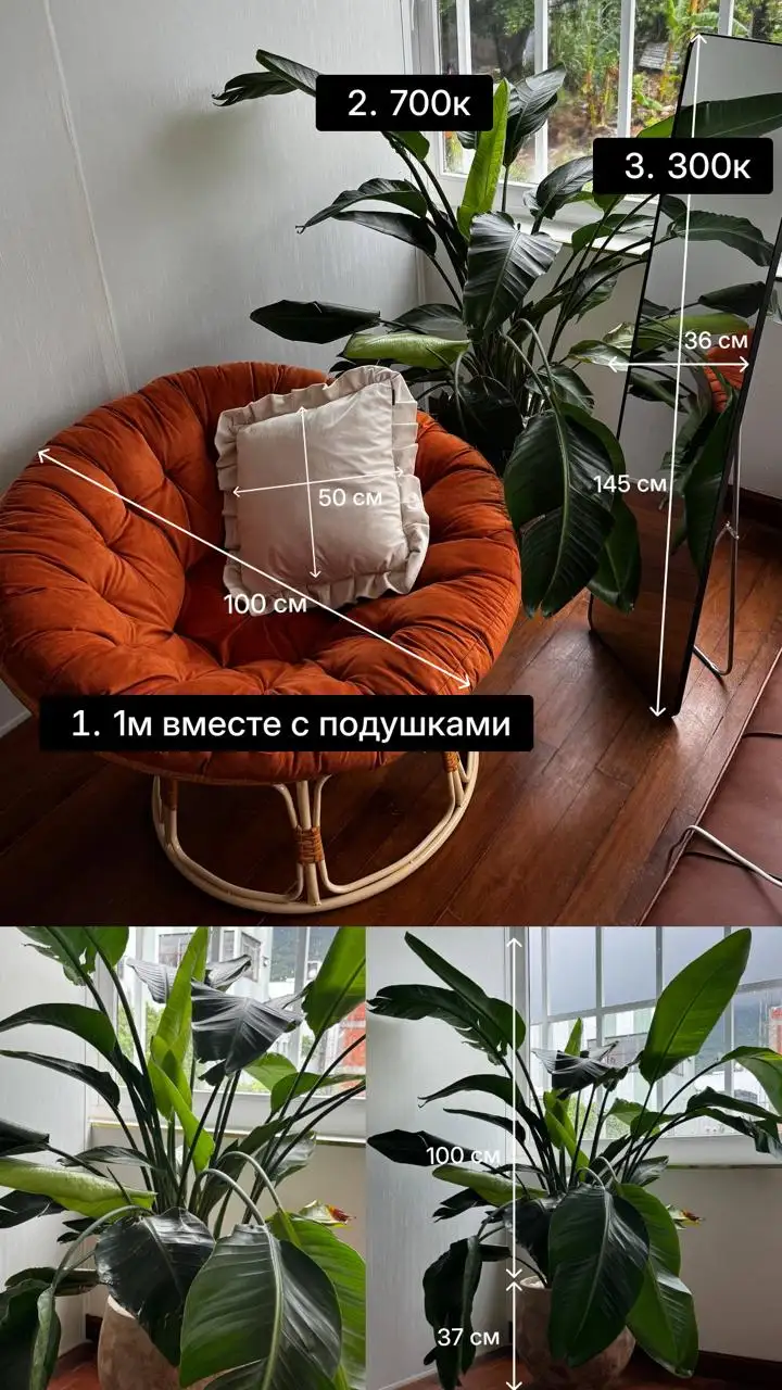 Кресло, стрелиция, напольное зеркало