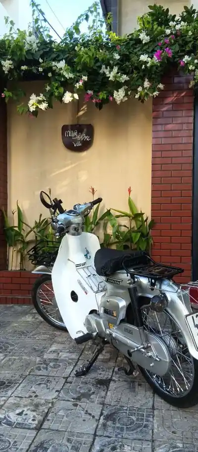 Honda Cup 81-86 50cc серого цвета