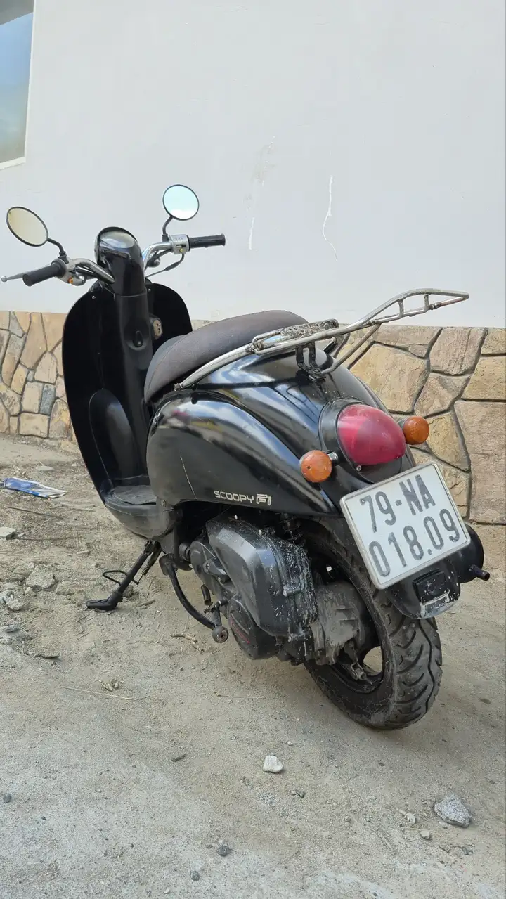 Honda Scoopy 50сс