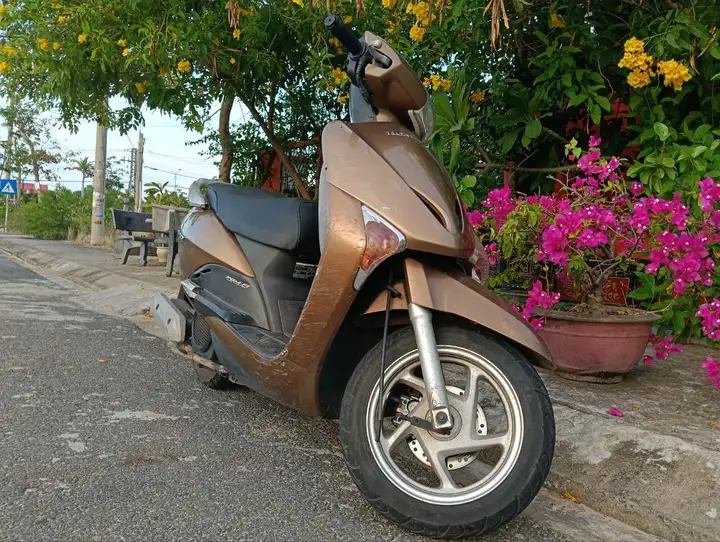 Honda Lead 110