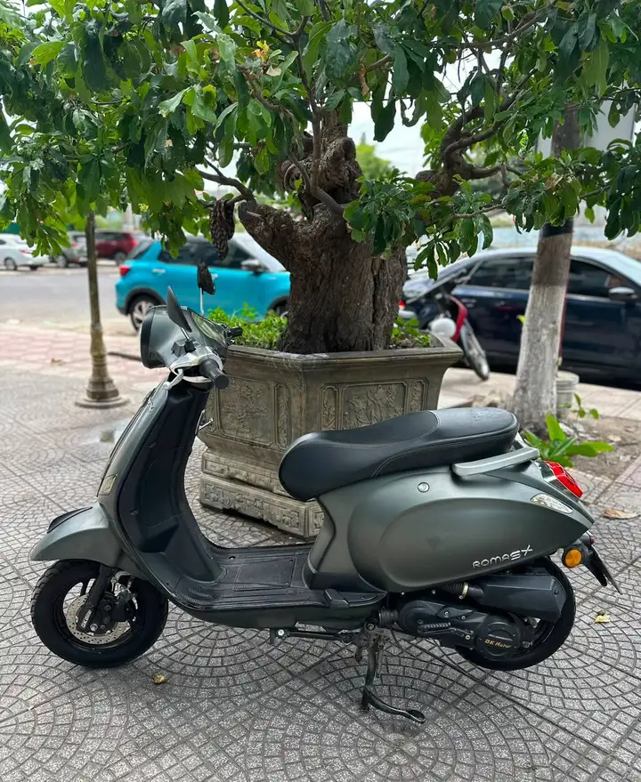 DK ROMA SX 50cc