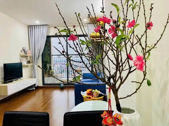 Bán chung cư Bình Minh Garden, tầng cao, full nội thất