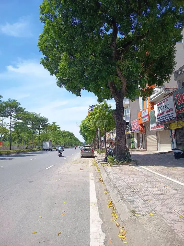 Bán nhà mặt phố Ngô Gia Tự, lô góc, 65m2, ngoài 15 tỷ
