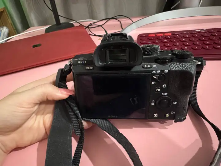 Sony Alpha A7S II