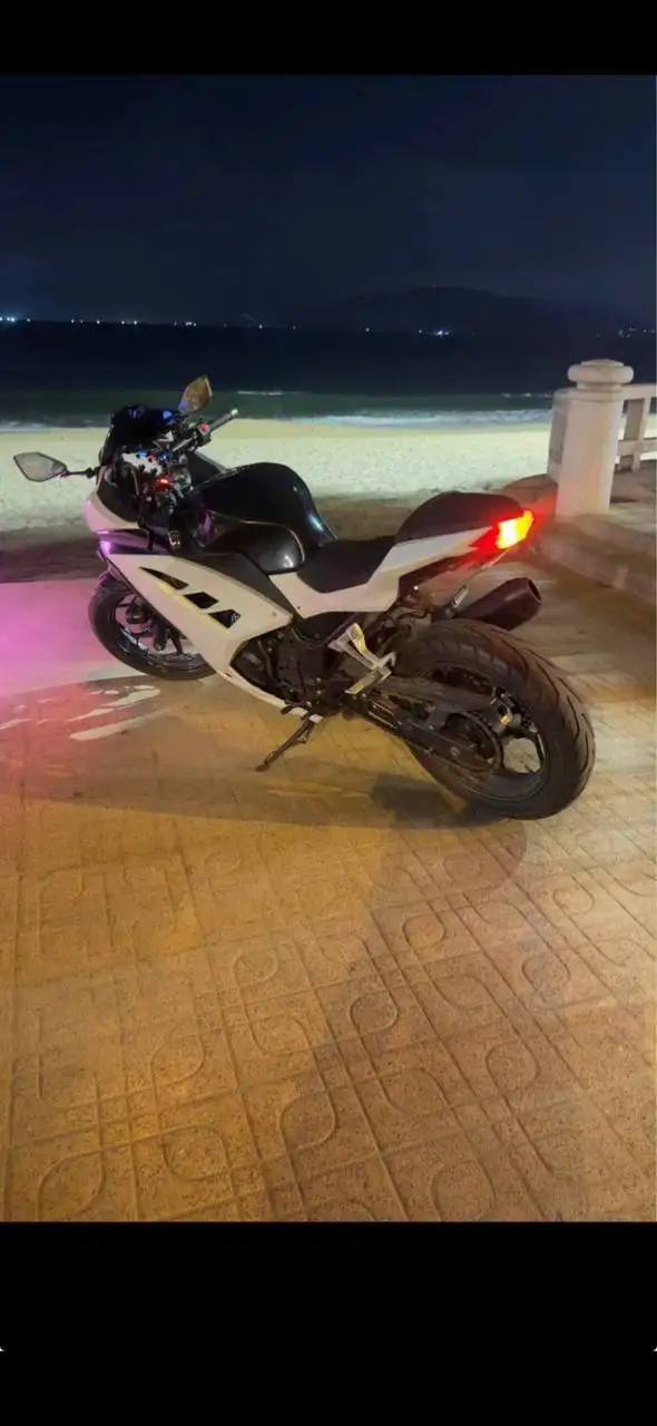Kawasaki Ninja 300