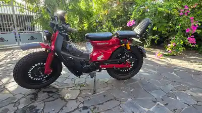 Honda Super Cub Custom Deluxe 50