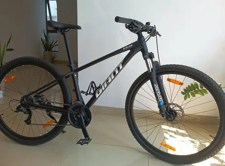 Giant Rincon 29 (рама S)