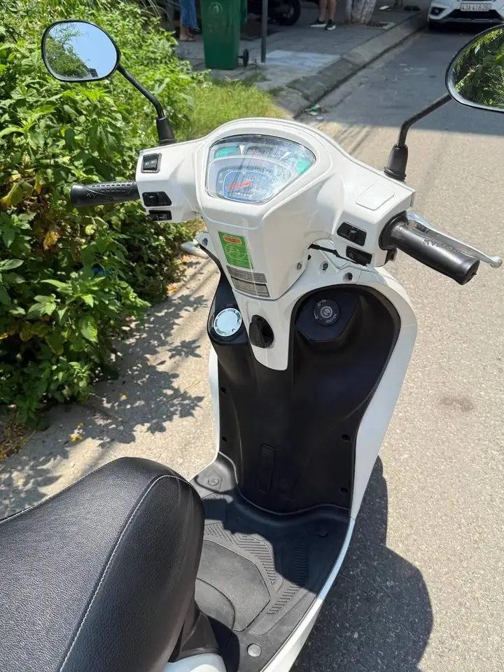 Candy 50cc 2023