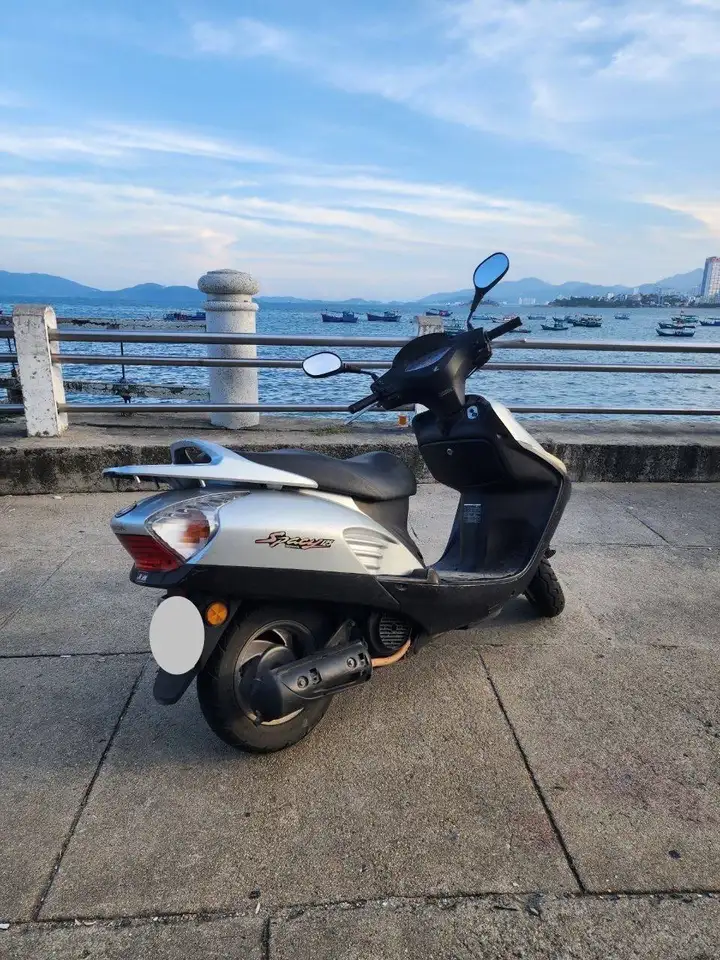 Honda Esky 125 (spacy, stream)
