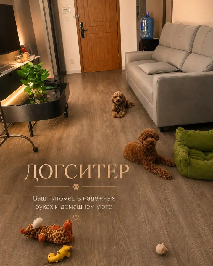 Догситтер в Нячанге - присмотр за собакой