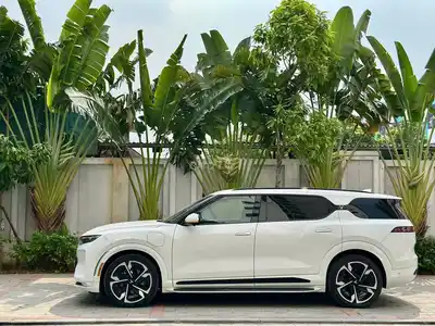 VinFast VF9 Plus 2025 Белый 7 мест 21.000 км