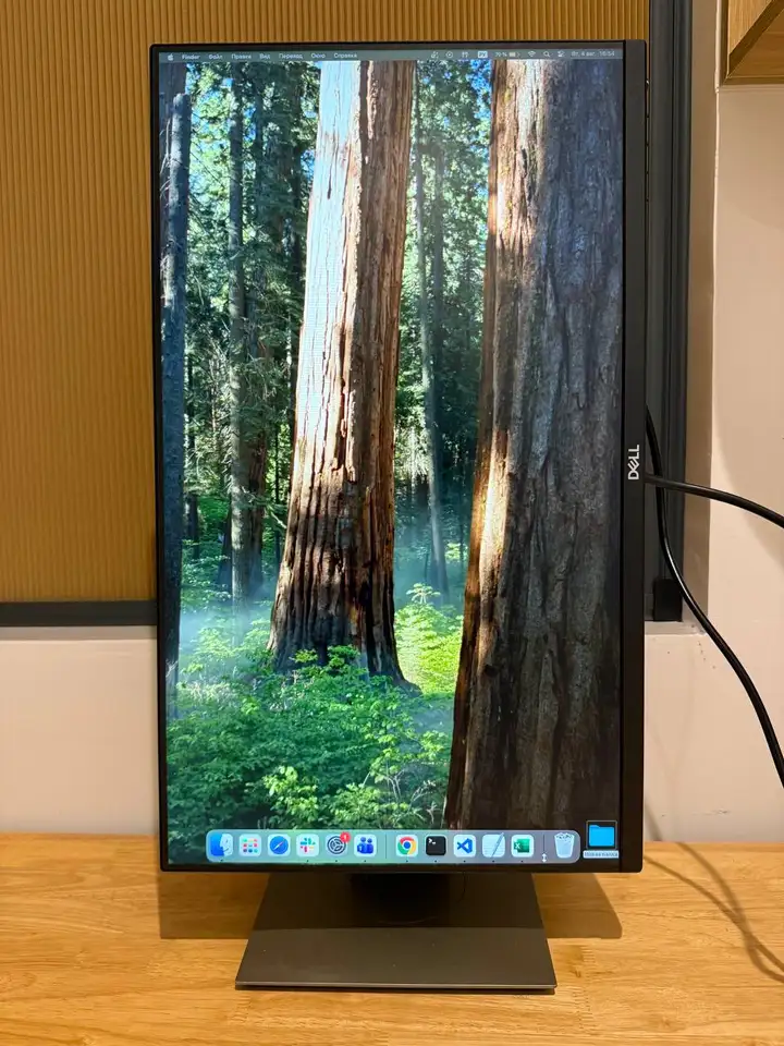 Монитор Dell P2419h, гантели сборные