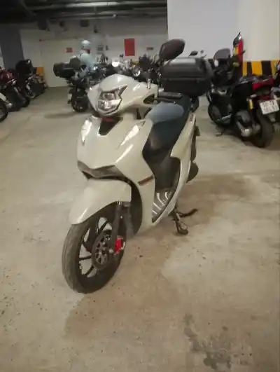 Velia 50cc расточенный до 70cc