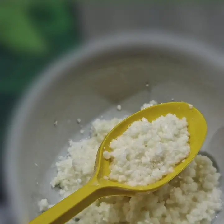 Кефирный гриб (тибетский гриб)