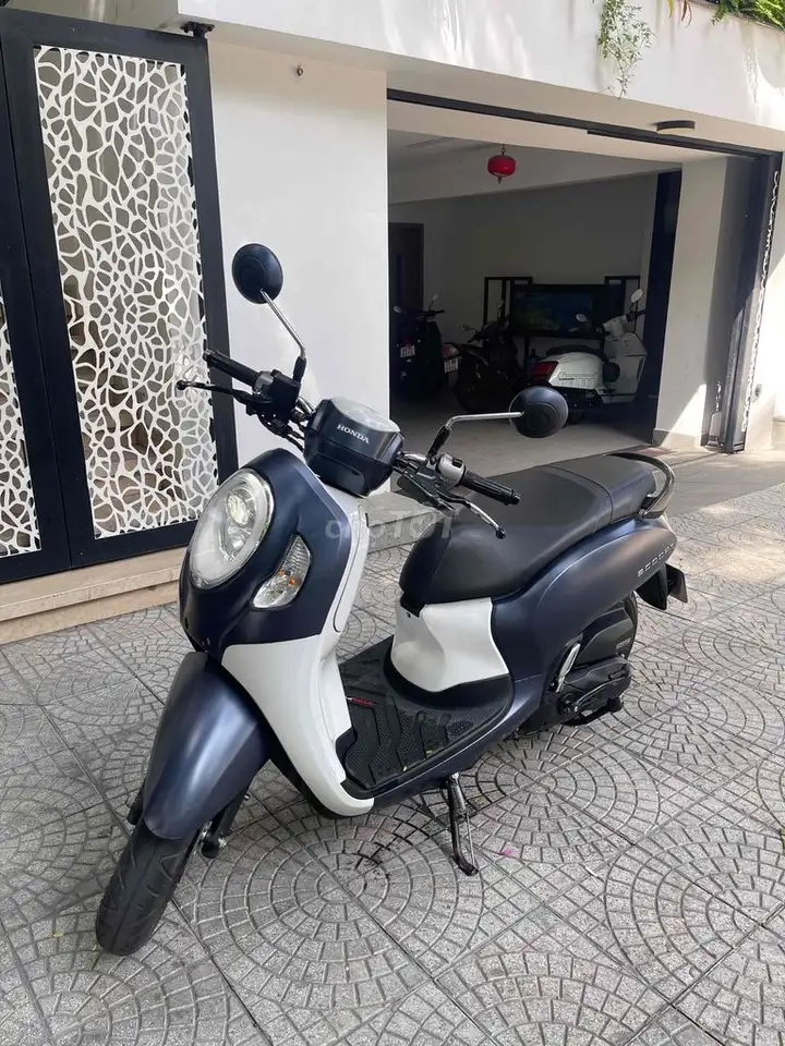 Honda Scoopy 2024 белый, серый