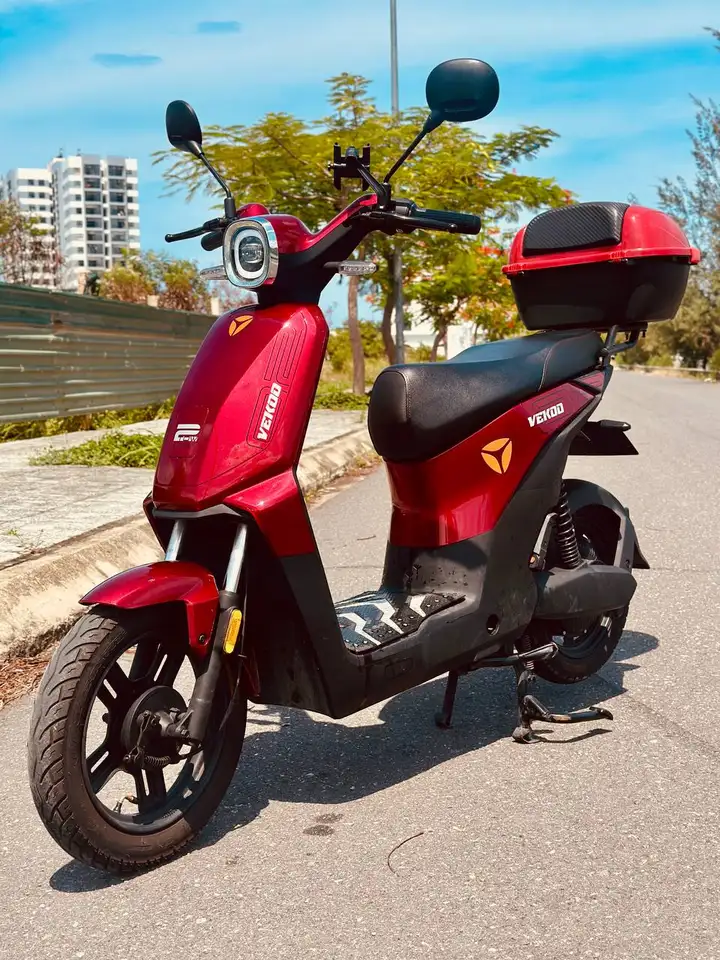 Electric bike Vadea Vekoo 2 с кофром