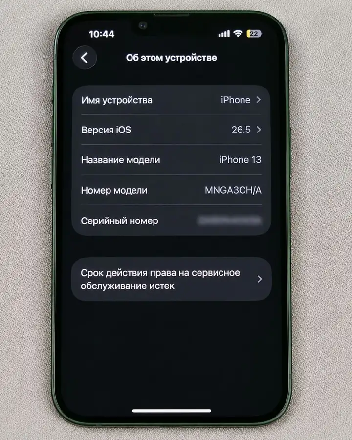 iPhone 13 256 ГБ