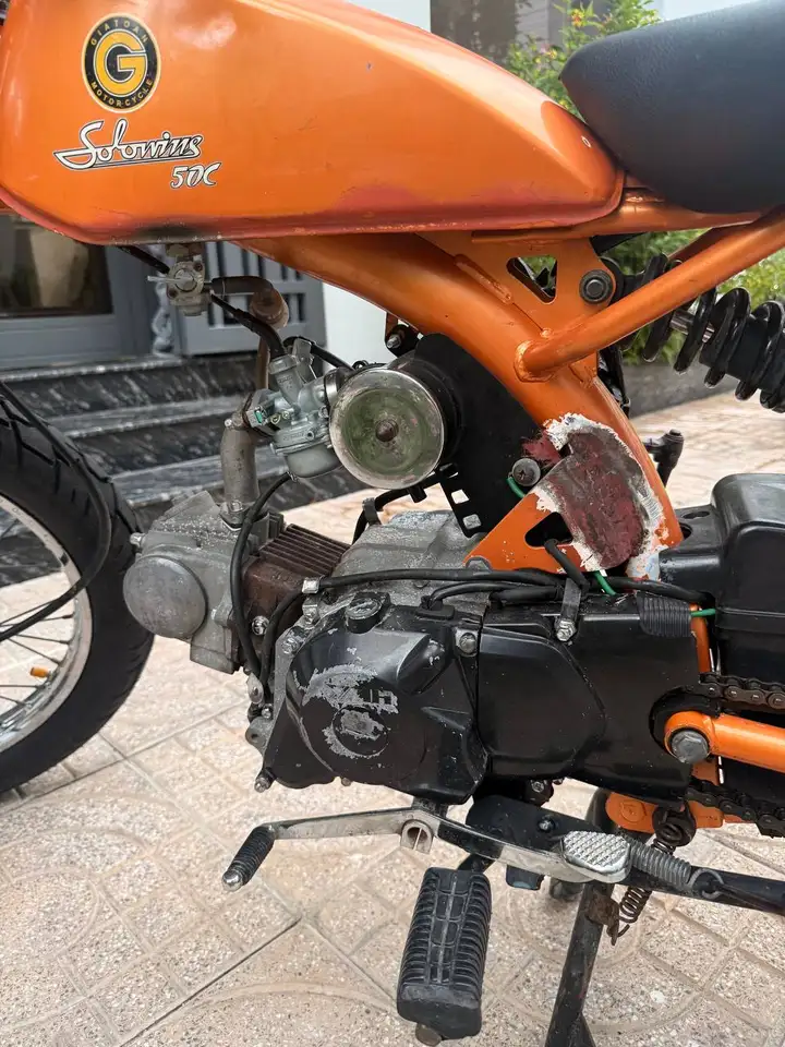 Solowins 50cc, 2011