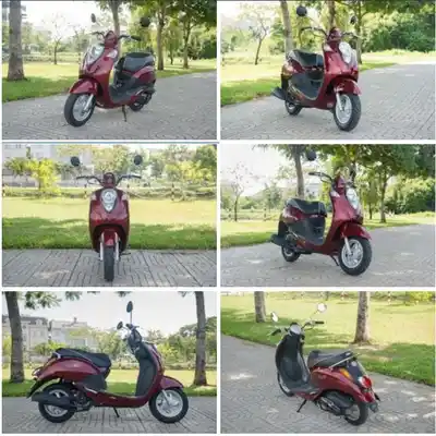 SYM ELITE 50CC 2026