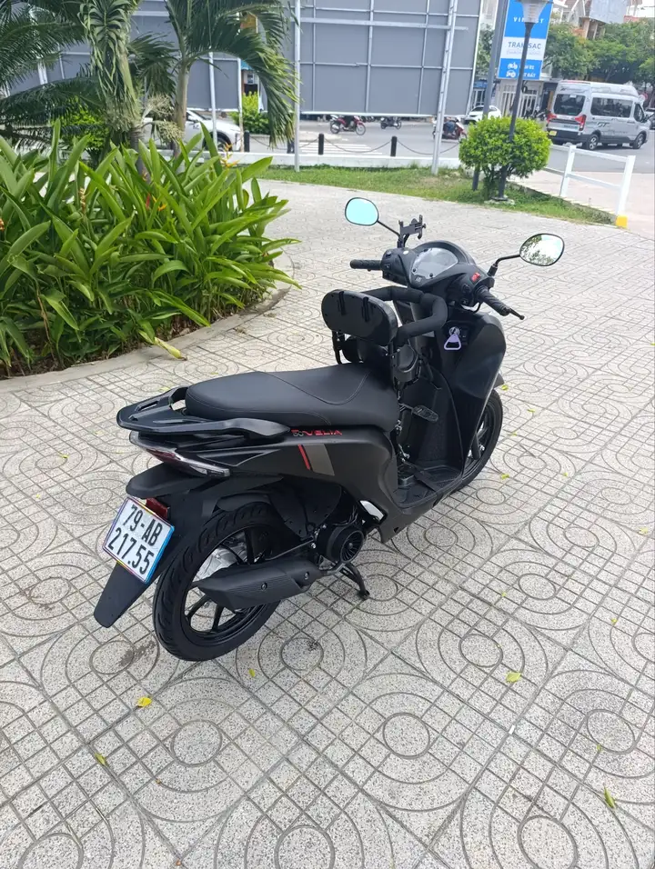 Velia 50