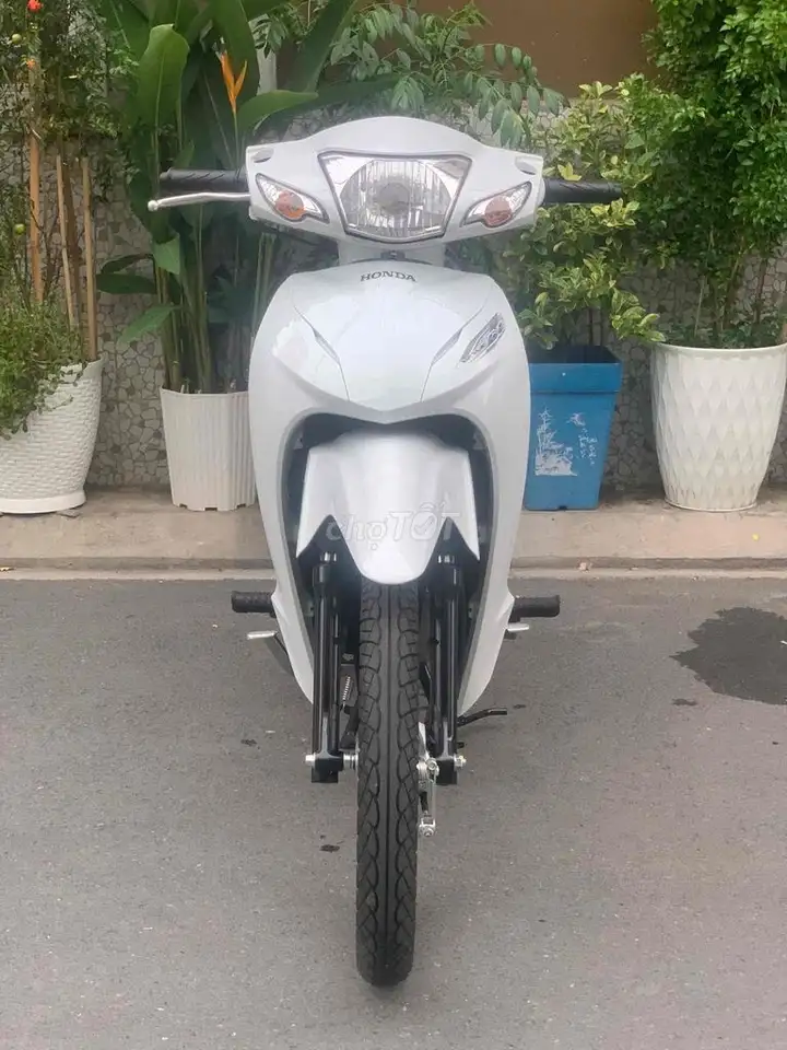 Honda Wave 2026 белый 249 км