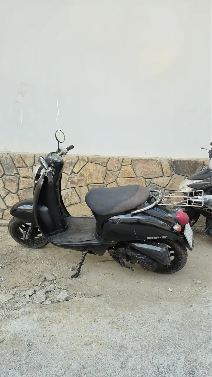 Honda Scoopy 50сс