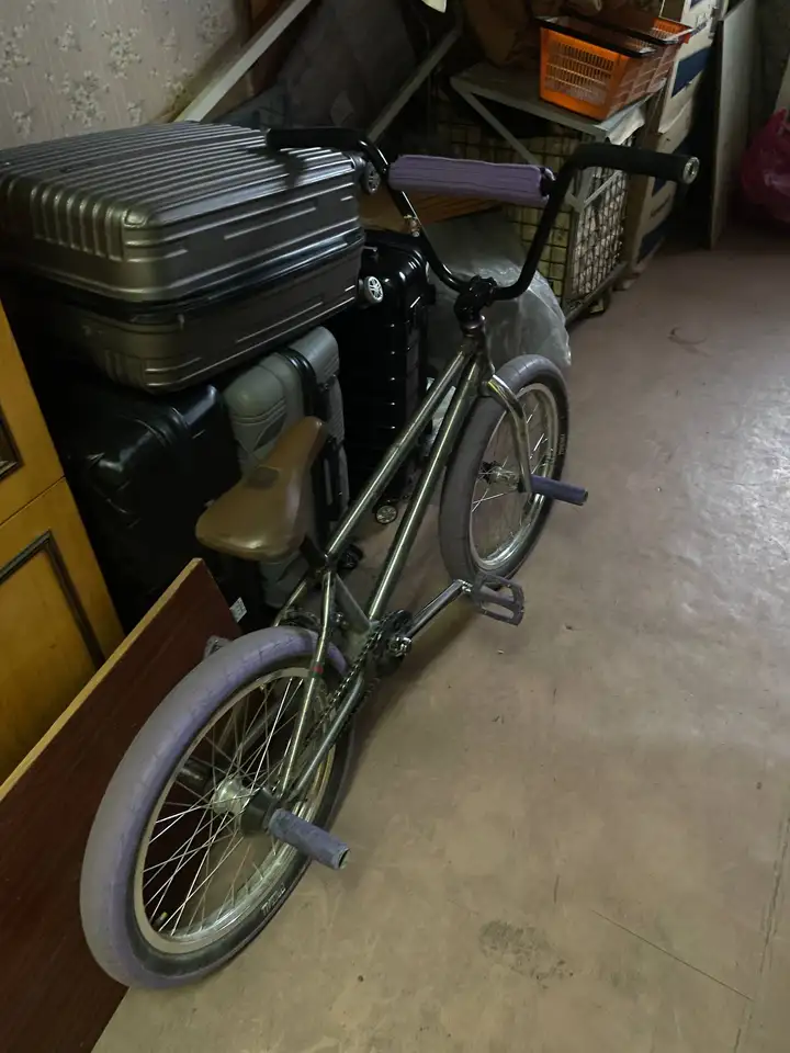 BMX Custom