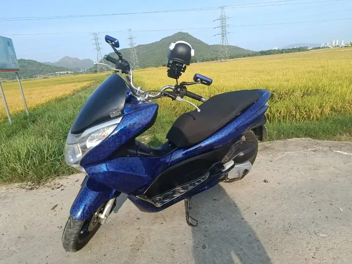 Honda PSX 2013