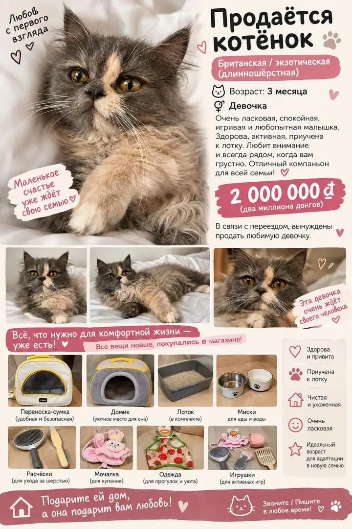 Котёнок