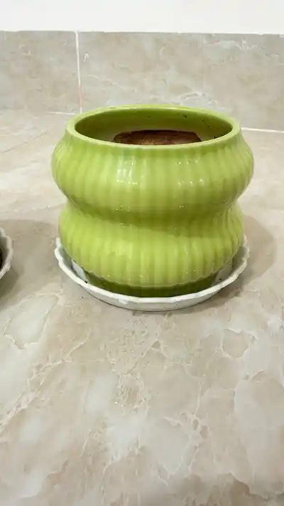 Горшки для цветов