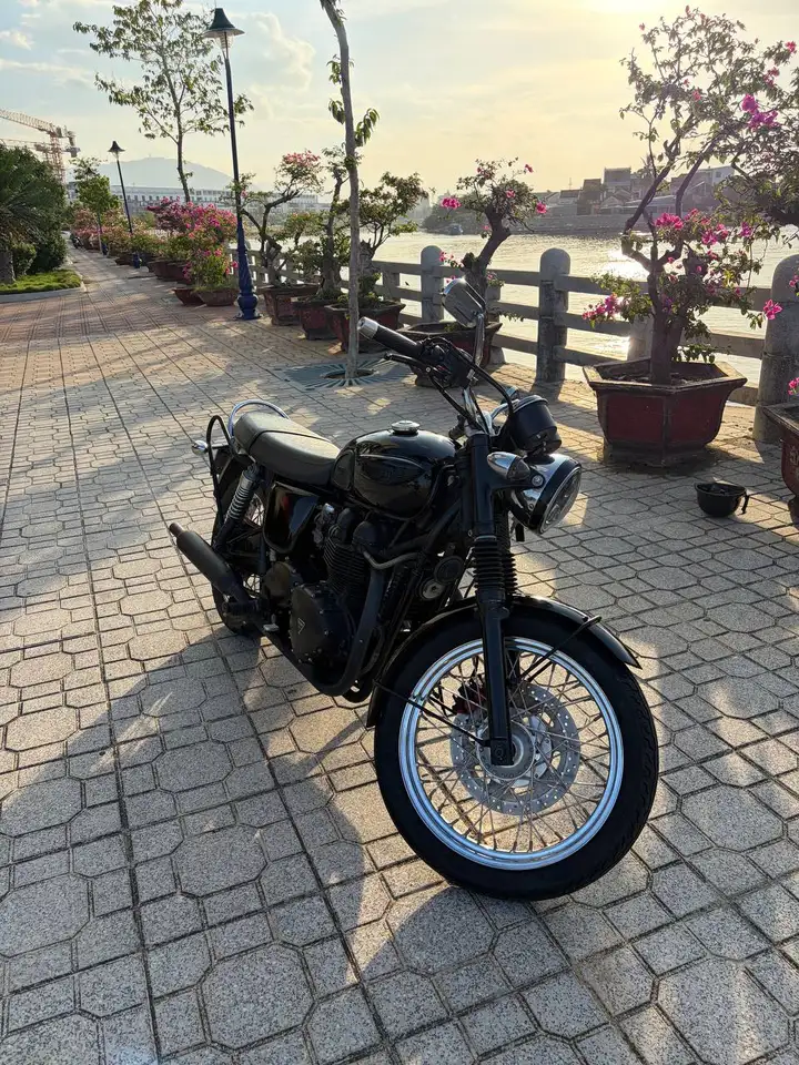 Triumph Bonneville T100