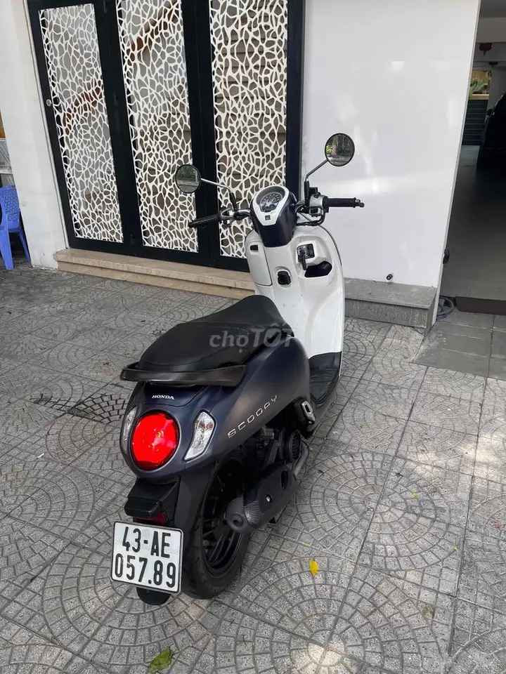 Honda Scoopy 2024 белый, серый