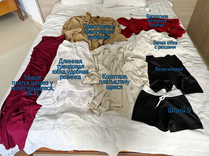 Одежда