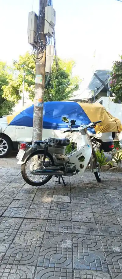 Honda Cup 81-86 50cc серого цвета
