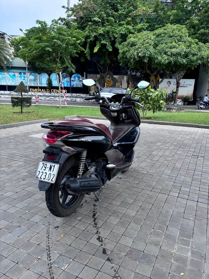 PCX 2010