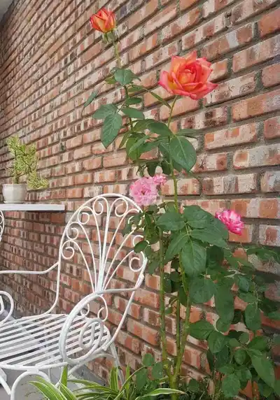 🏡 3-ЭТАЖНЫЙ ДОМ В АРЕНДУ — НЕДАЛЕКО ОТ ПЛЯЖА НГУЕН ТАТ ТХАНЬ 🌊