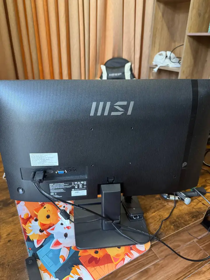 Монитор MSI PRO MP251 и книги по программированию
